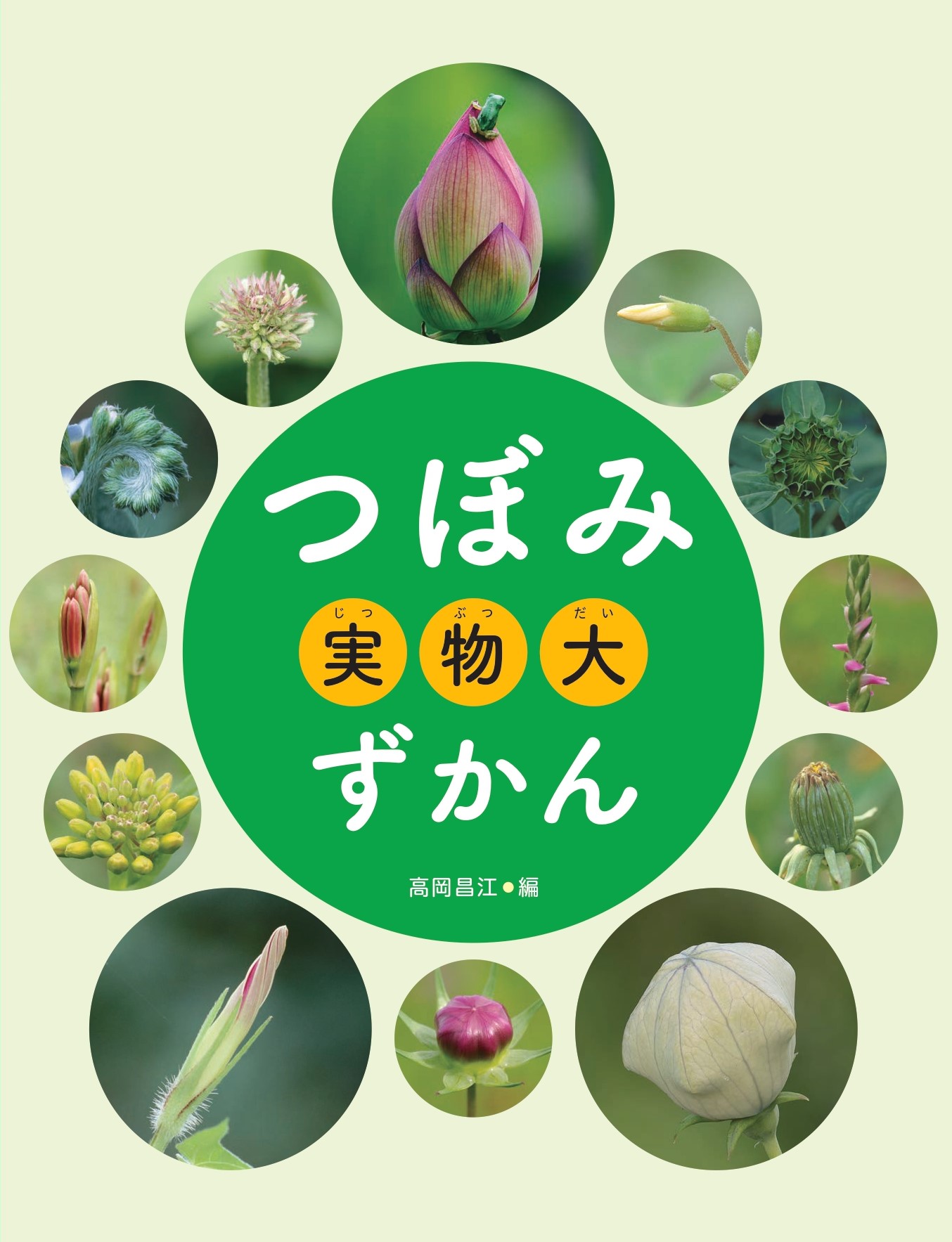 くさばなの つぼみ (つぼみを みつけよう 1) 61dqDlc76YL.jpg